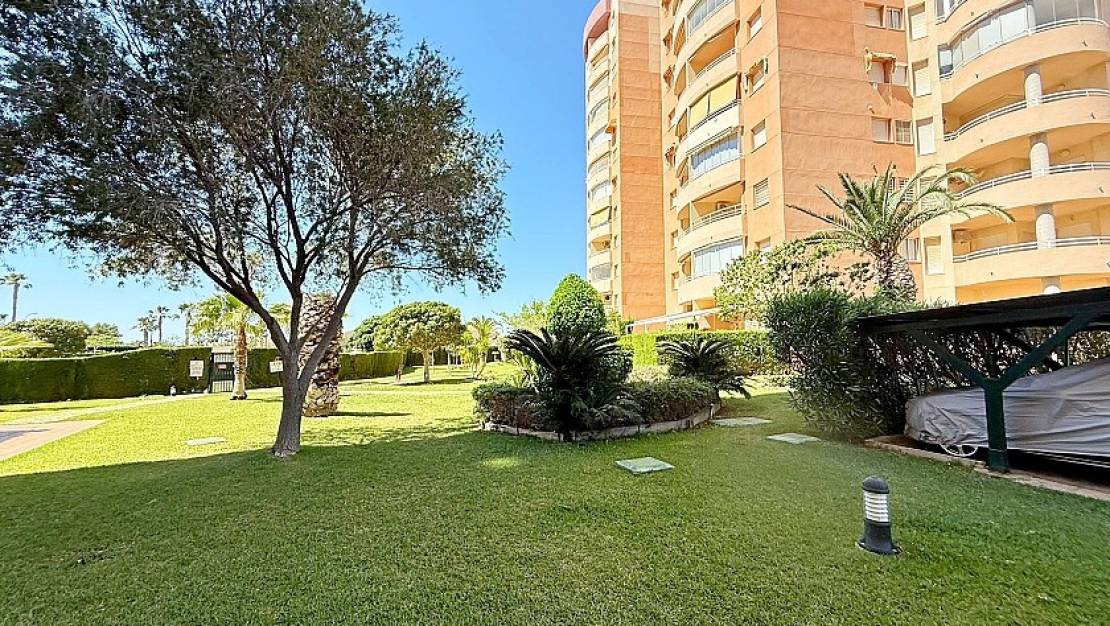 Venta - Apartment - Orihuela - Dehesa de Campoamor
