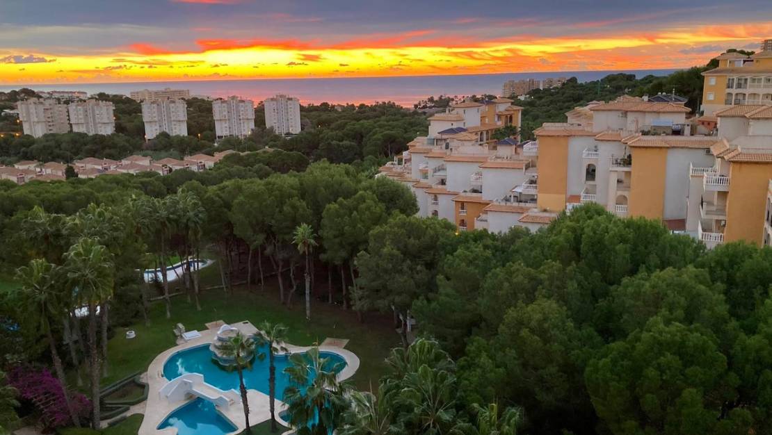 Venta - Apartment - Orihuela - Dehesa de Campoamor