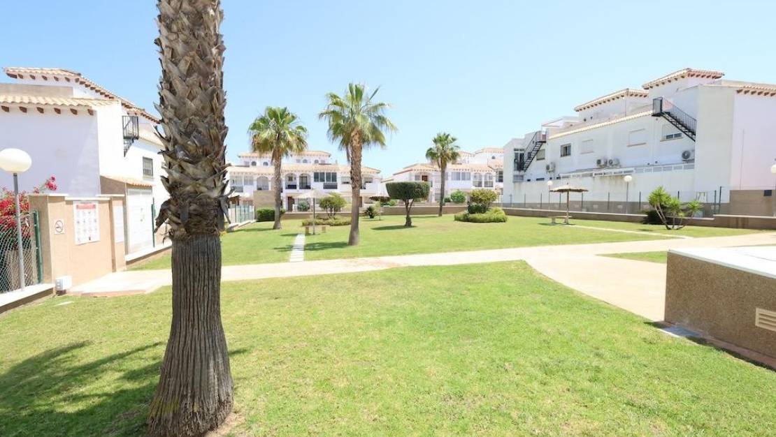 Venta - Apartment - Orihuela - La Ciñuelica