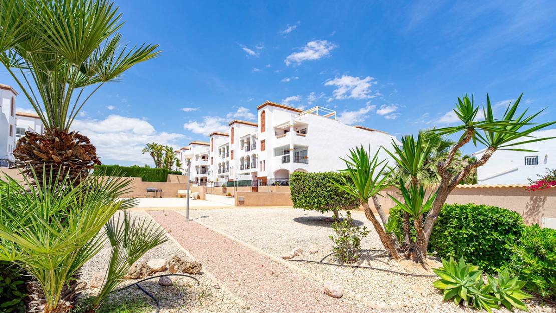 Venta - Apartment - Orihuela - La Ciñuelica