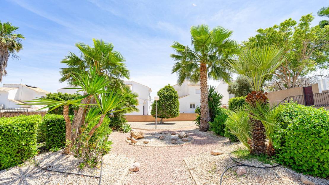 Venta - Apartment - Orihuela - La Ciñuelica