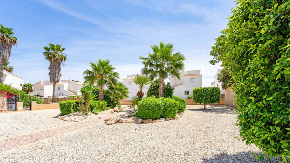 Venta - Apartment - Orihuela - La Ciñuelica