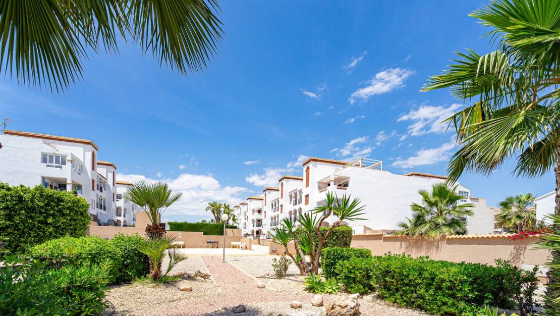 Venta - Apartment - Orihuela - La Ciñuelica