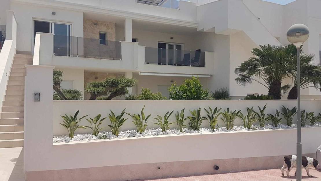 Venta - Apartment - Orihuela - La Florida