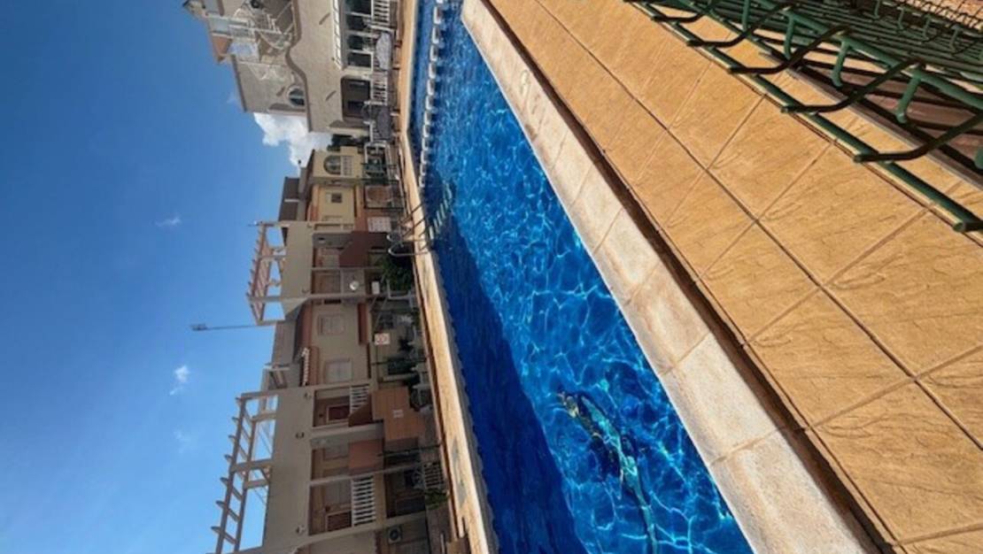 Venta - Apartment - Orihuela - La Florida