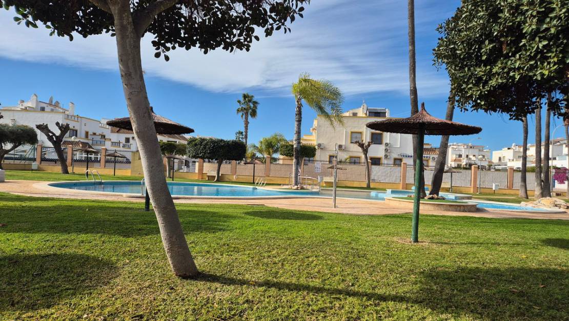 Venta - Apartment - Orihuela - La Florida