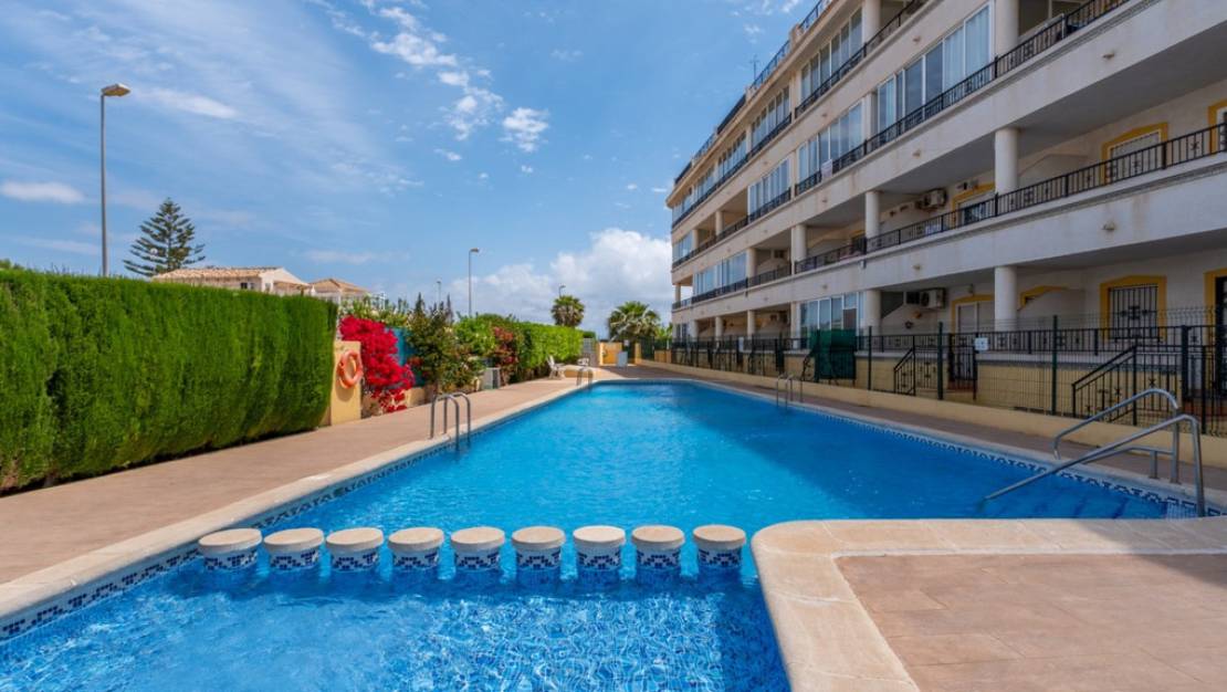 Venta - Apartment - Orihuela - La Florida