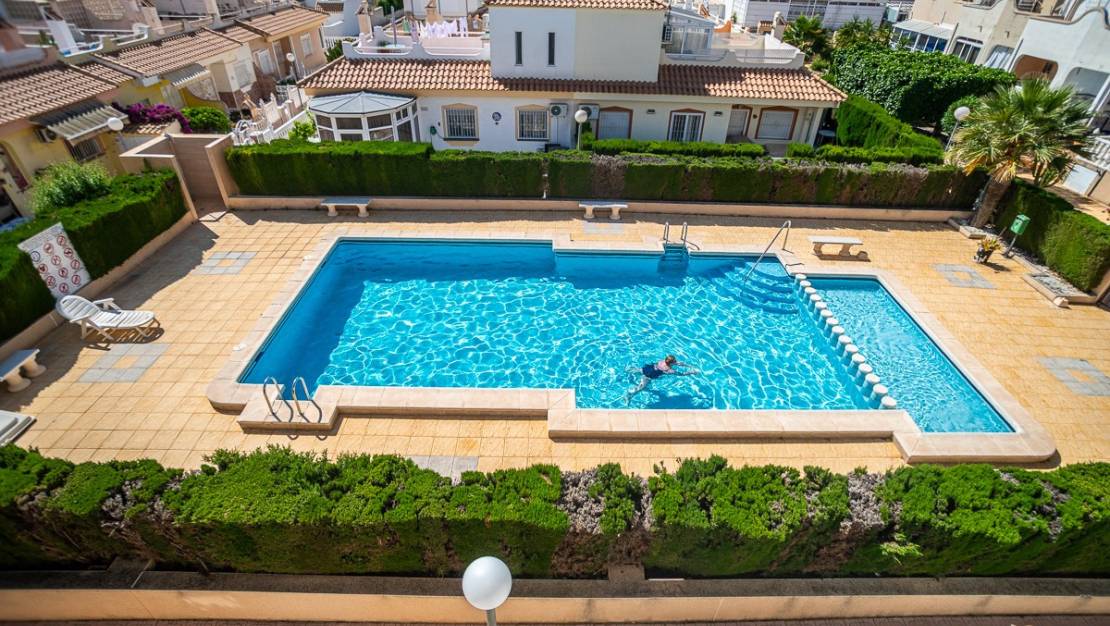 Venta - Apartment - Orihuela - La Florida