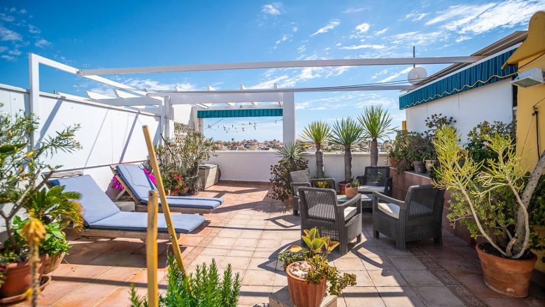 Venta - Apartment - Orihuela - La Florida