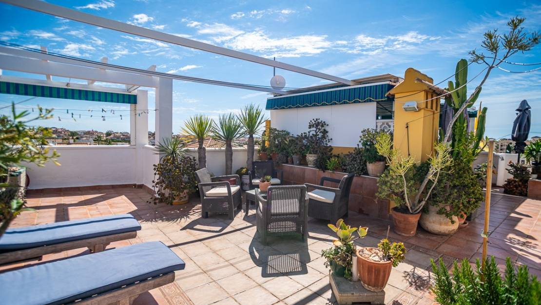 Venta - Apartment - Orihuela - La Florida