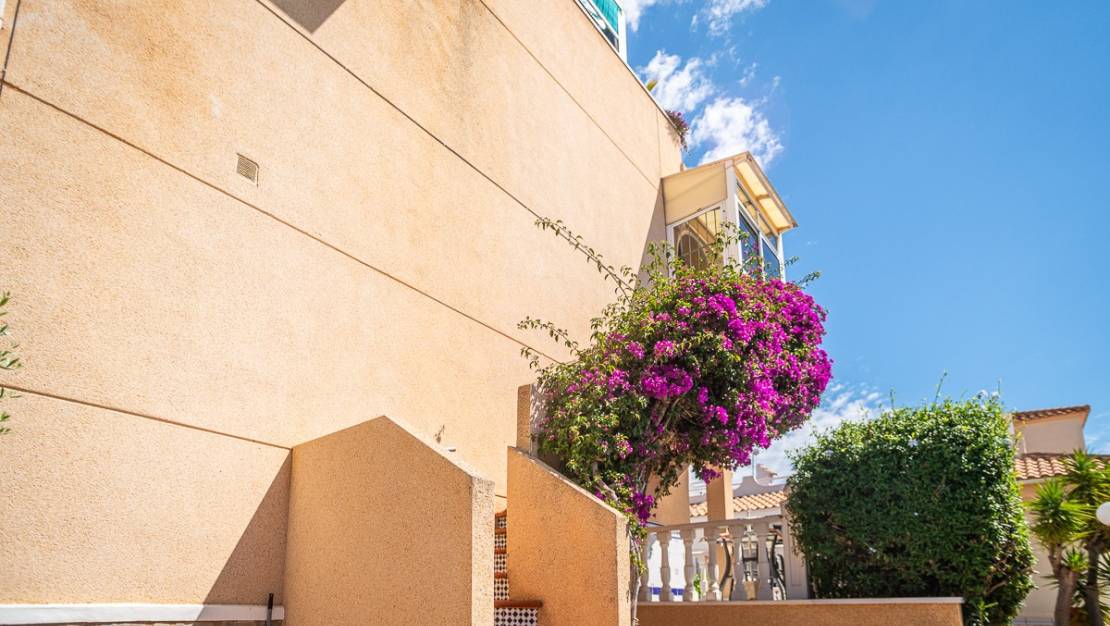Venta - Apartment - Orihuela - La Florida