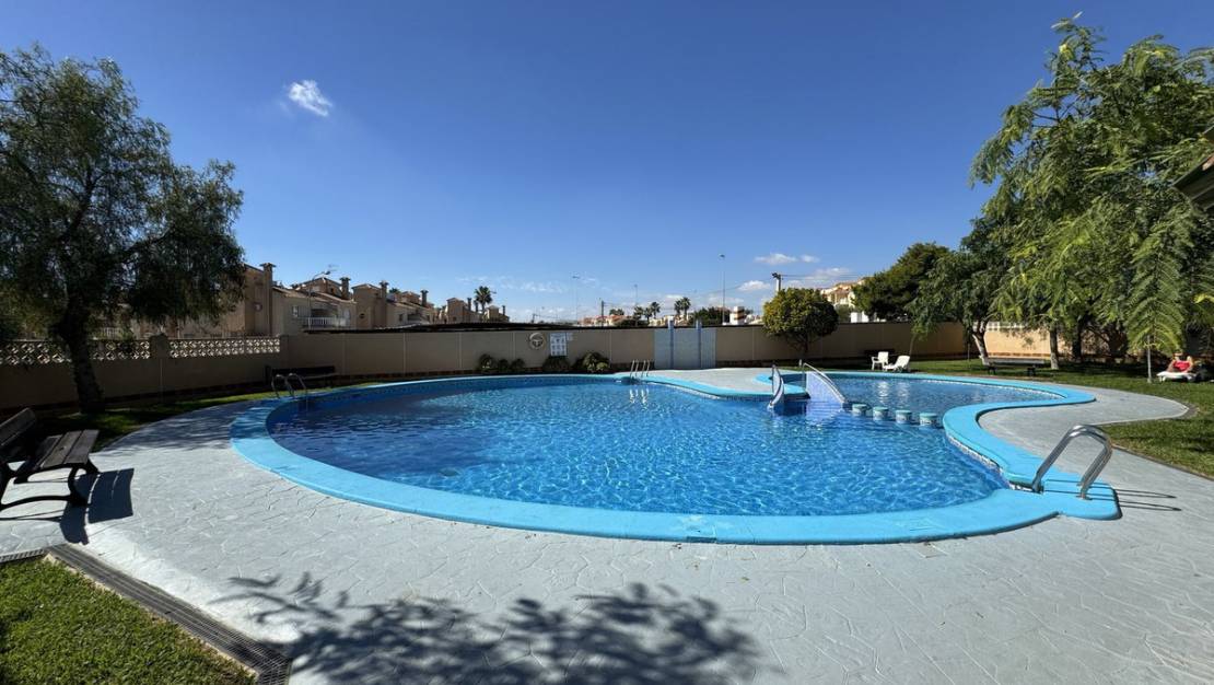 Venta - Apartment - Orihuela - La Florida