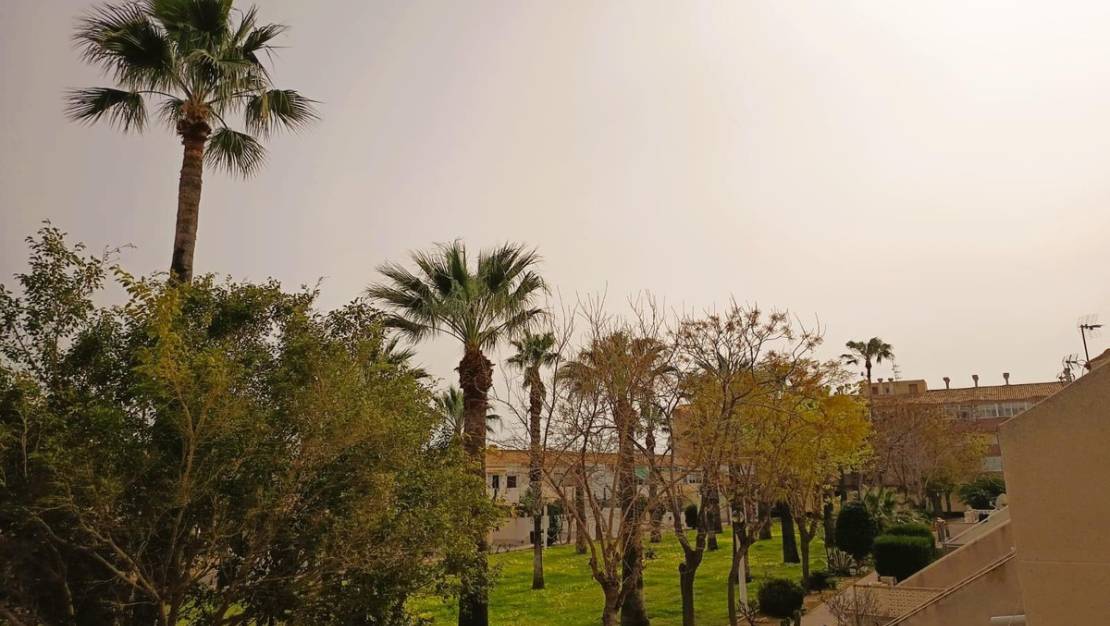 Venta - Apartment - Orihuela - La Regia