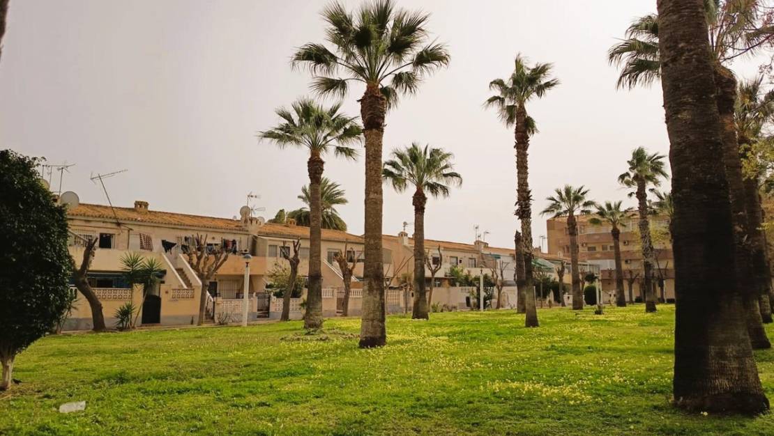 Venta - Apartment - Orihuela - La Regia