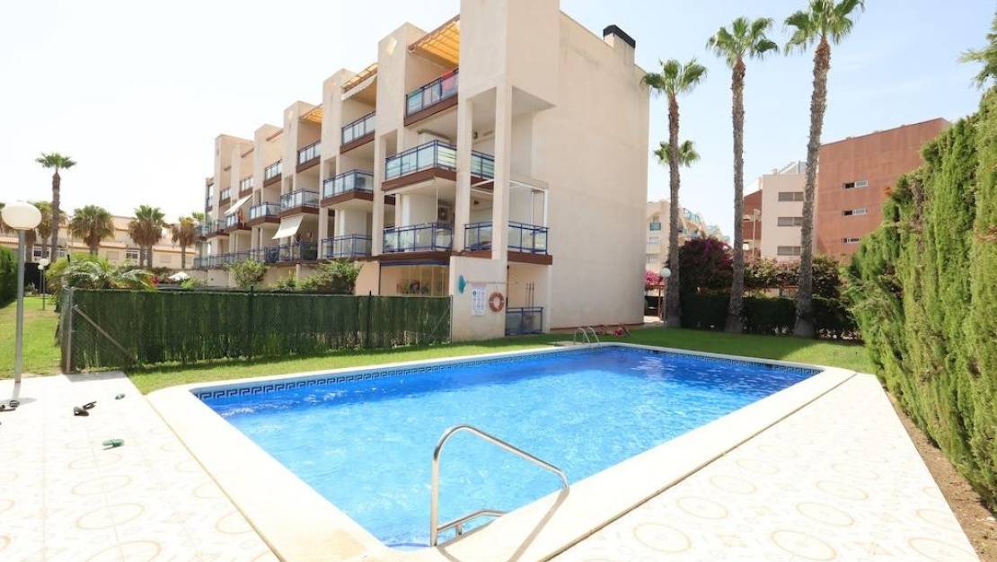 Venta - Apartment - Orihuela - La Regia