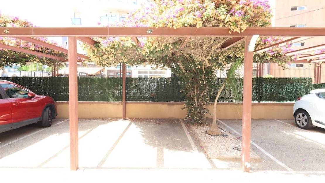 Venta - Apartment - Orihuela - La Regia