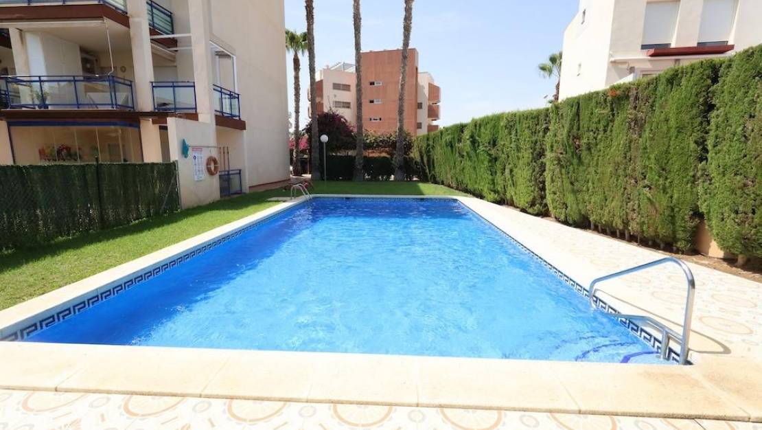 Venta - Apartment - Orihuela - La Regia