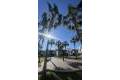 Venta - Apartment - Orihuela - La Zenia