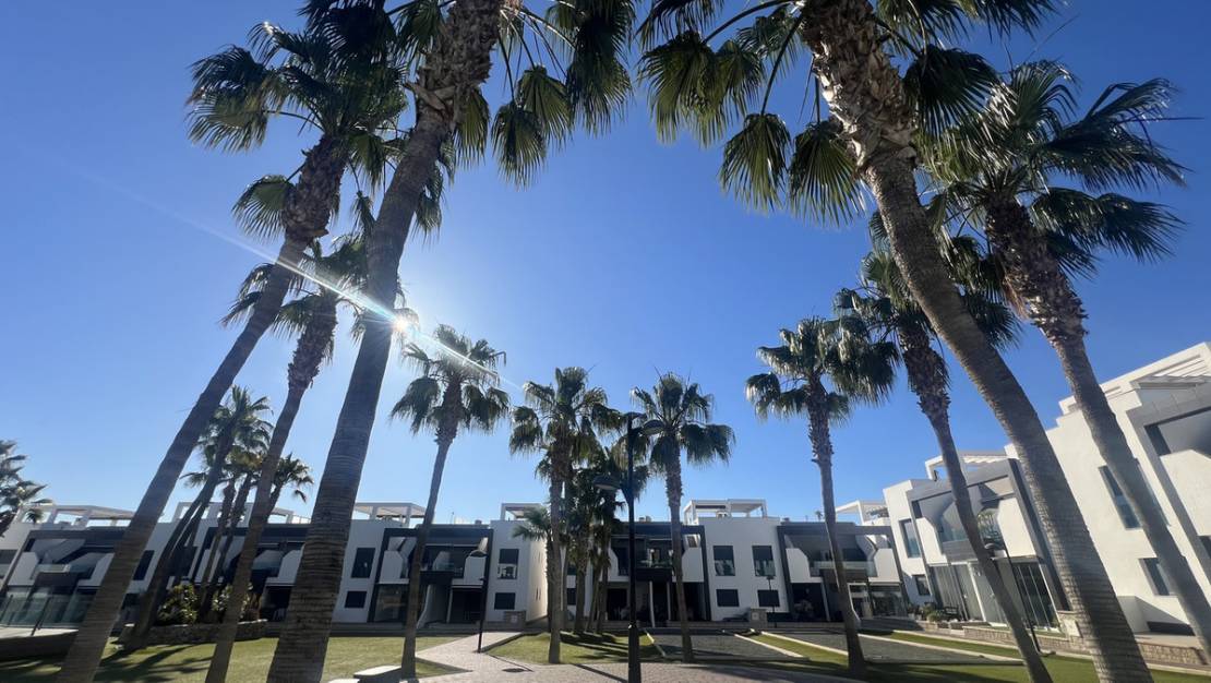Venta - Apartment - Orihuela - La Zenia