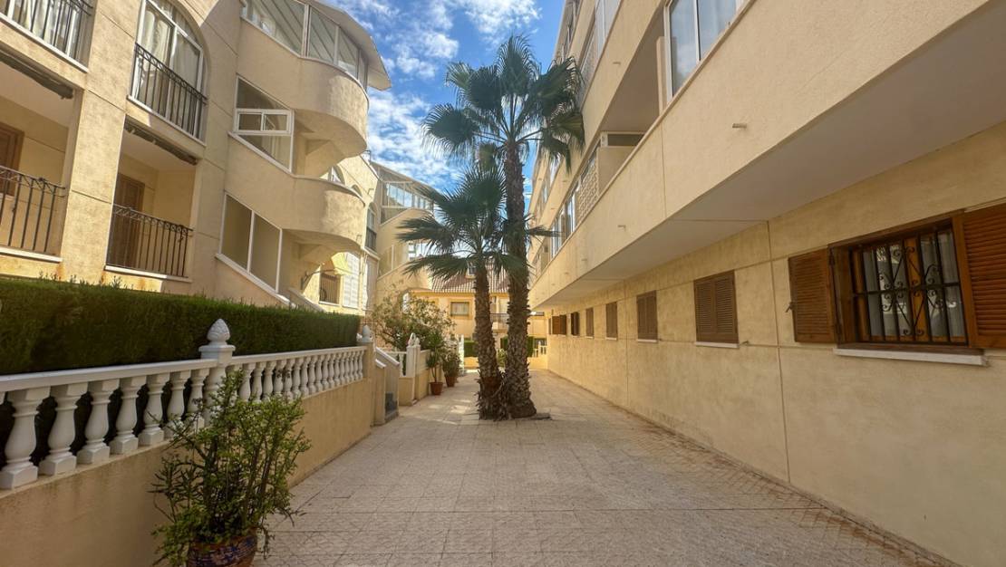 Venta - Apartment - Orihuela - La Zenia