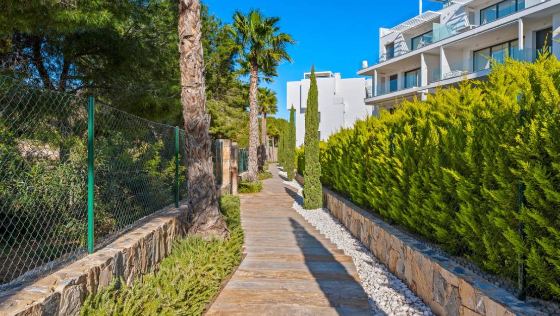 Venta - Apartment - Orihuela - Las Colinas Golf