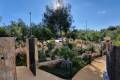 Venta - Apartment - Orihuela - Las Colinas Golf