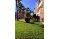 Venta - Apartment - Orihuela - Las Ramblas Golf