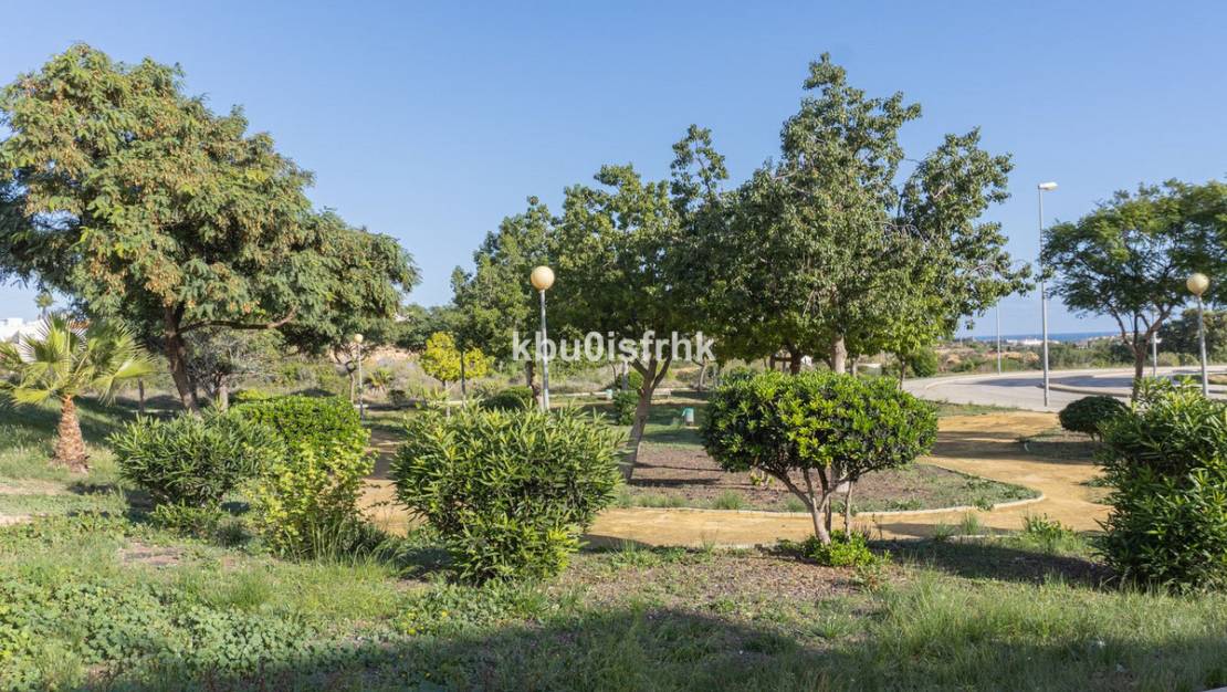 Venta - Apartment - Orihuela - Lomas de Cabo Roig