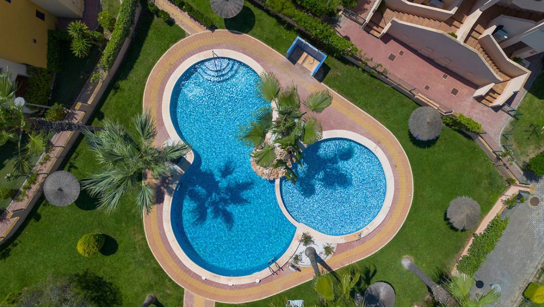 Venta - Apartment - Orihuela - Los Altos