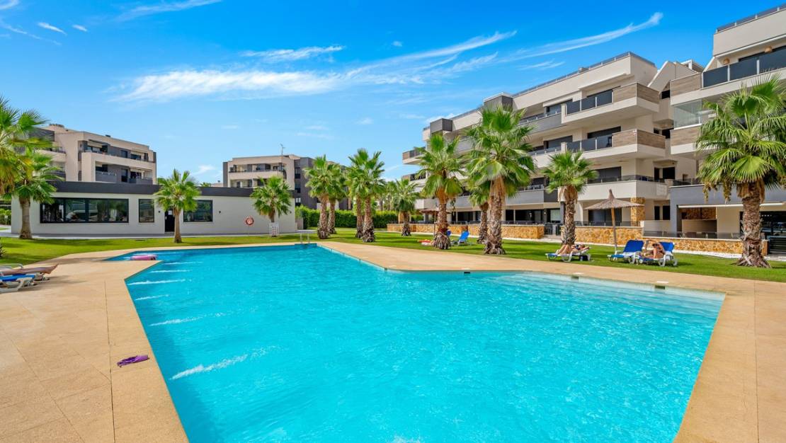 Venta - Apartment - Orihuela - Los Altos