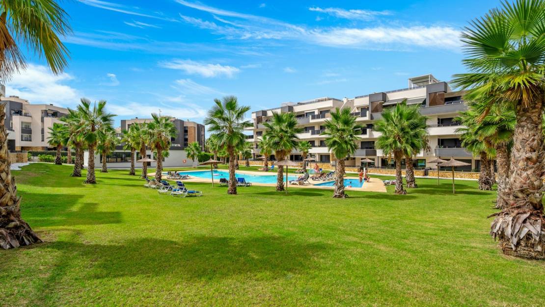 Venta - Apartment - Orihuela - Los Altos