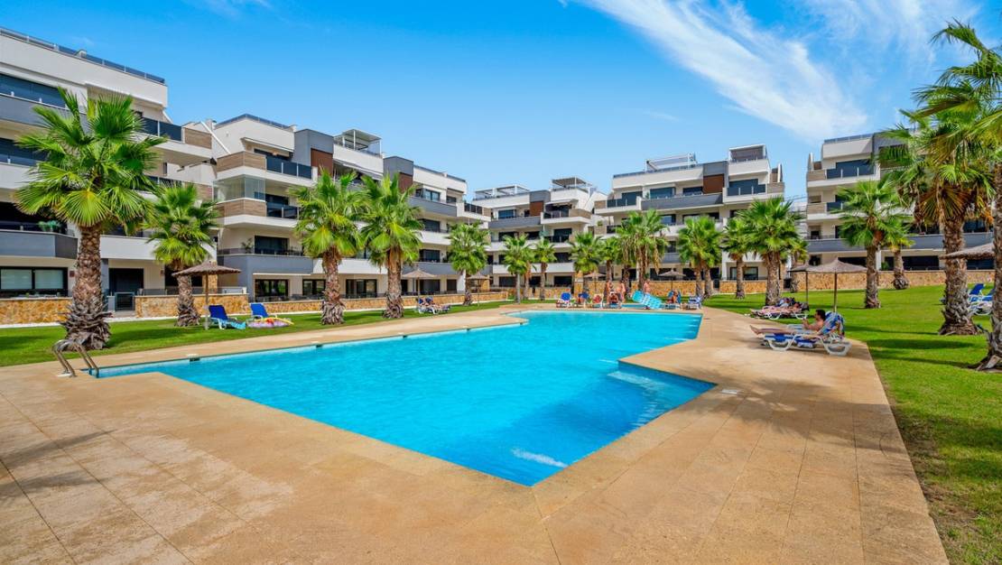 Venta - Apartment - Orihuela - Los Altos