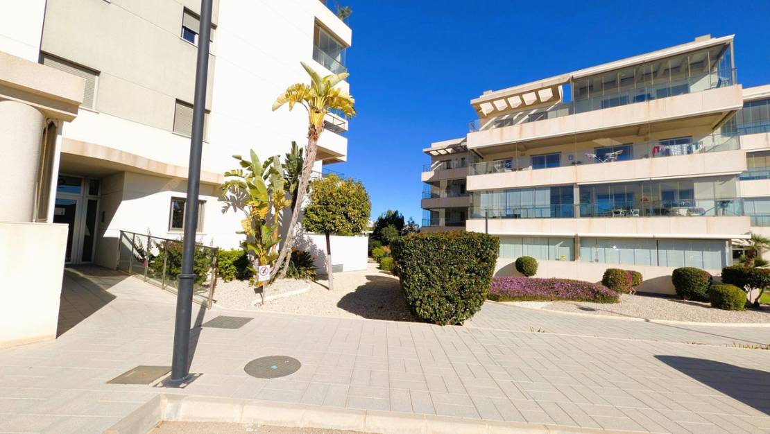 Venta - Apartment - Orihuela - Los Altos