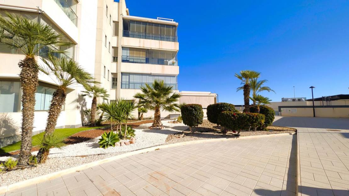 Venta - Apartment - Orihuela - Los Altos