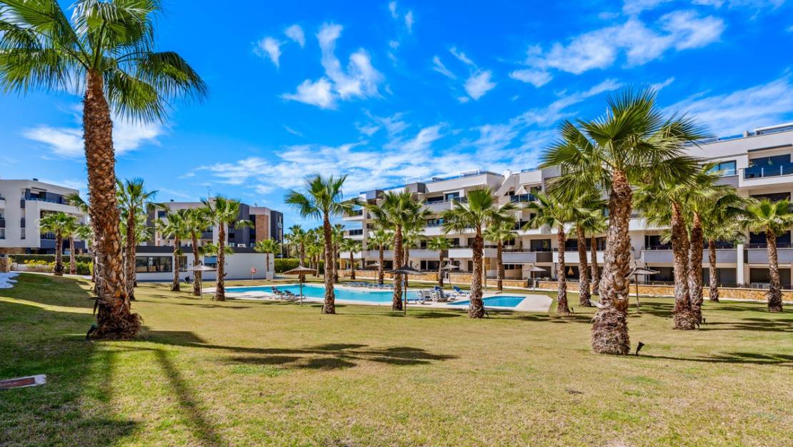 Venta - Apartment - Orihuela - Los Altos