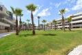 Venta - Apartment - Orihuela - Los Altos