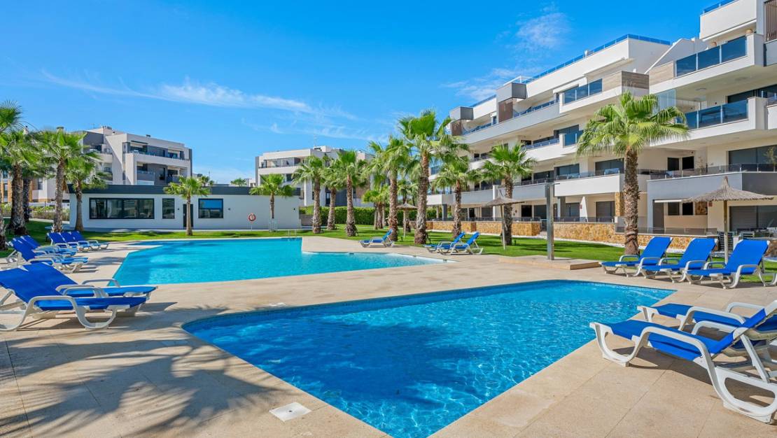 Venta - Apartment - Orihuela - Los Altos
