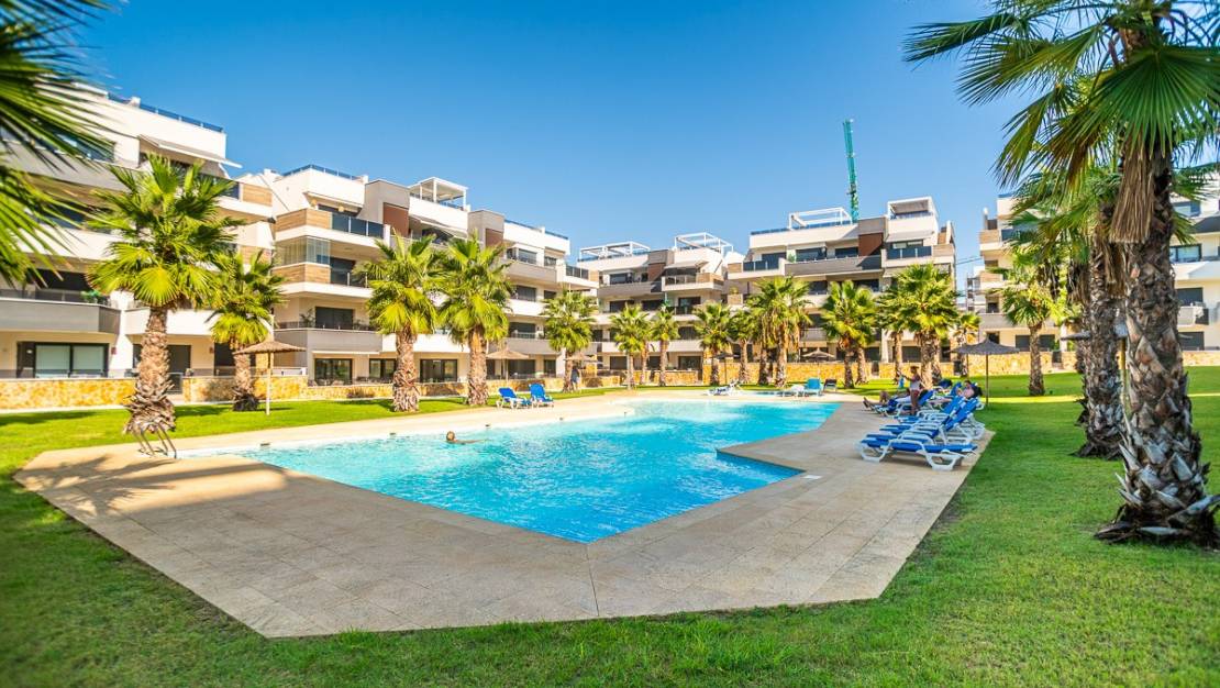 Venta - Apartment - Orihuela - Los Altos