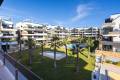 Venta - Apartment - Orihuela - Los Altos