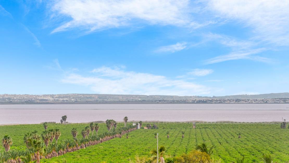 Venta - Apartment - Orihuela - Los Balcones