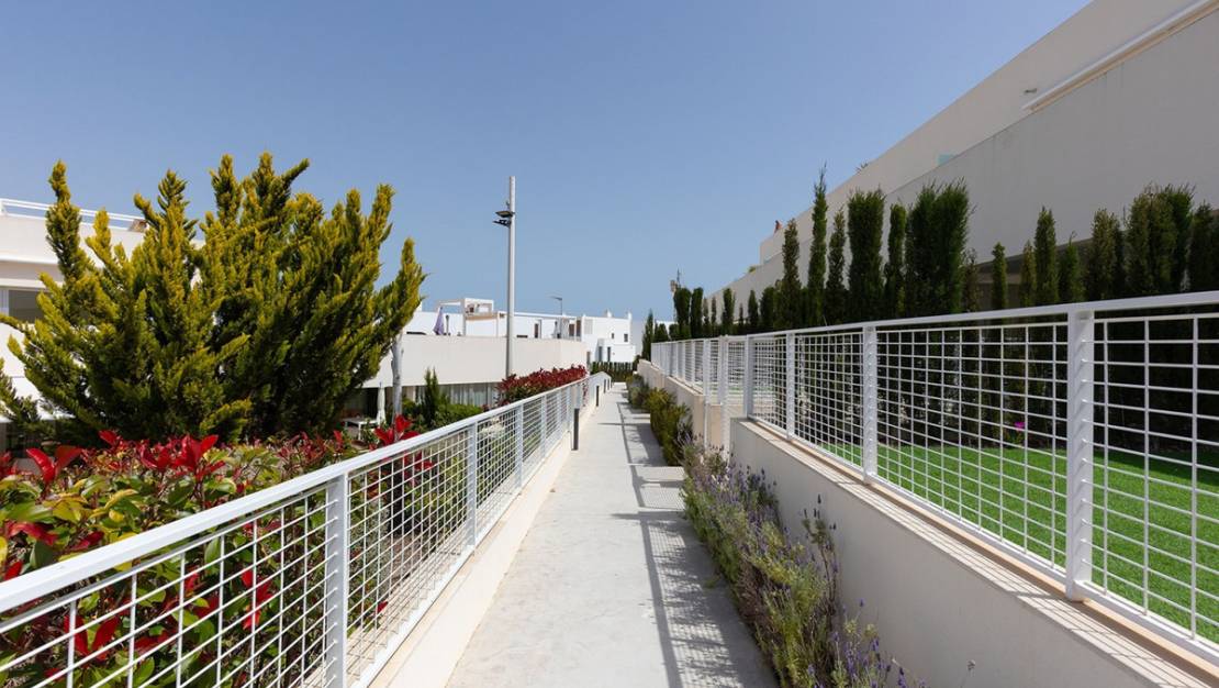 Venta - Apartment - Orihuela - Los Balcones
