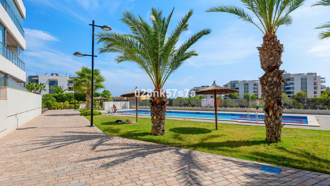 Venta - Apartment - Orihuela - Los Dolses