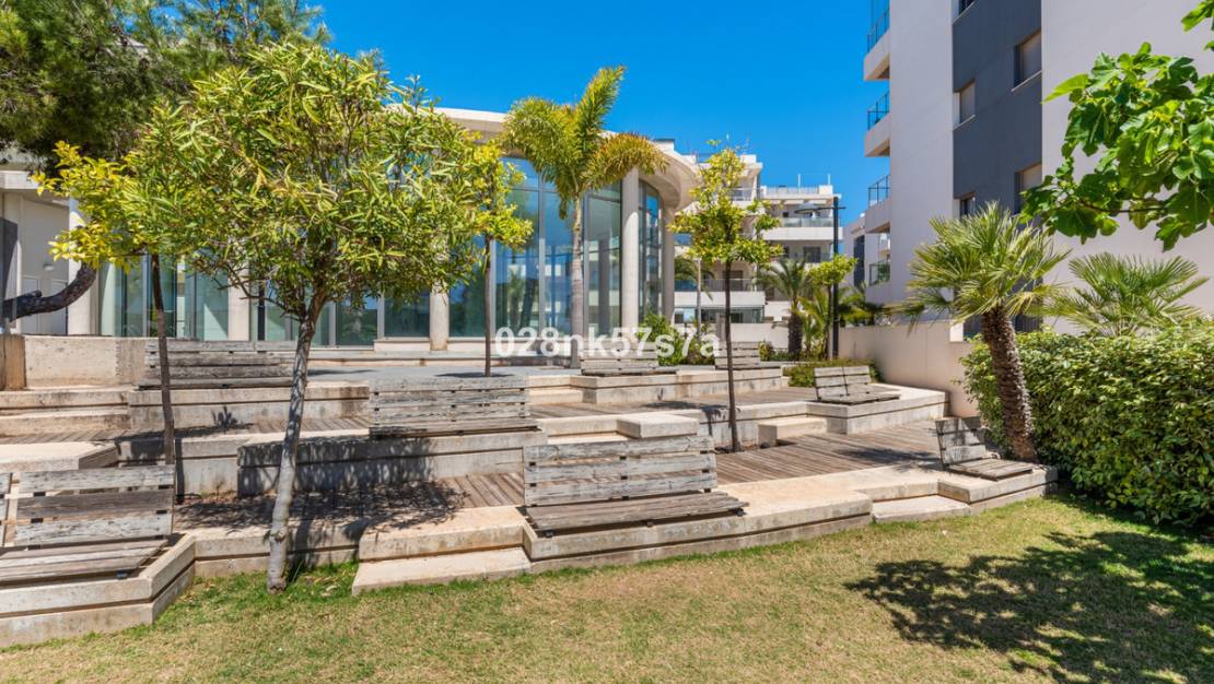 Venta - Apartment - Orihuela - Los Dolses