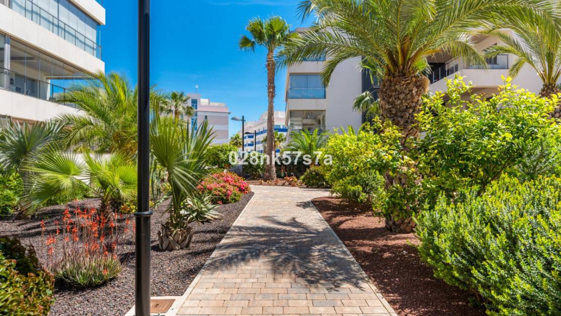 Venta - Apartment - Orihuela - Los Dolses