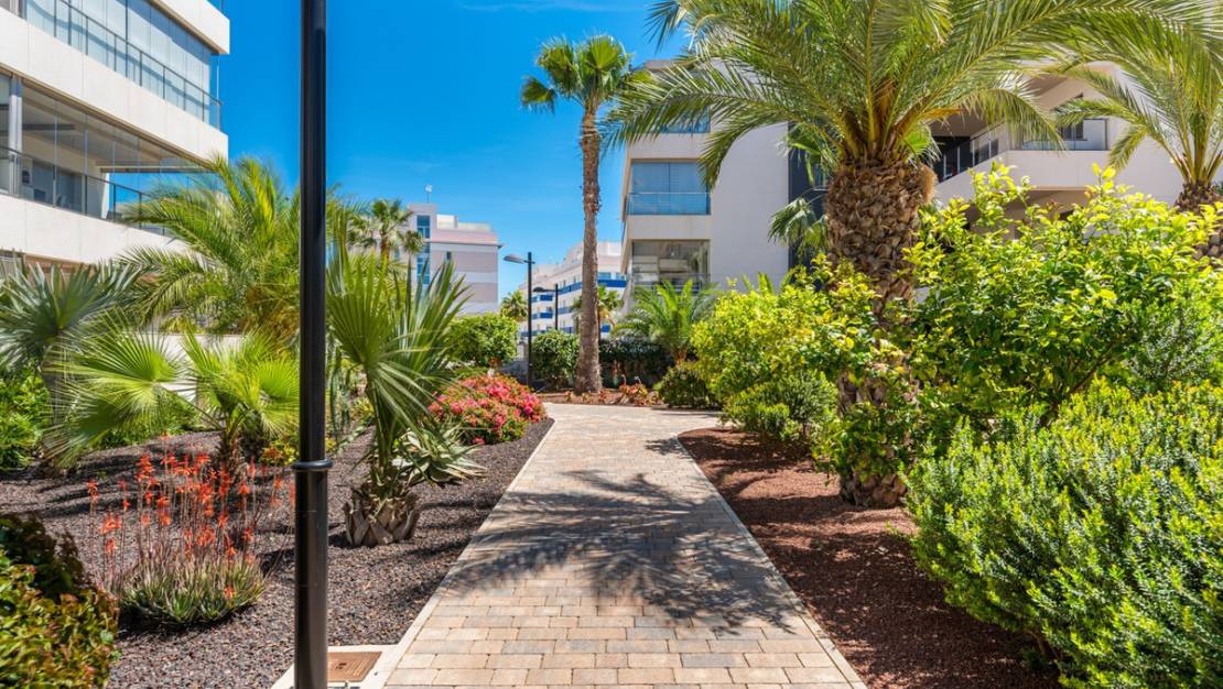 Venta - Apartment - Orihuela - Los Dolses