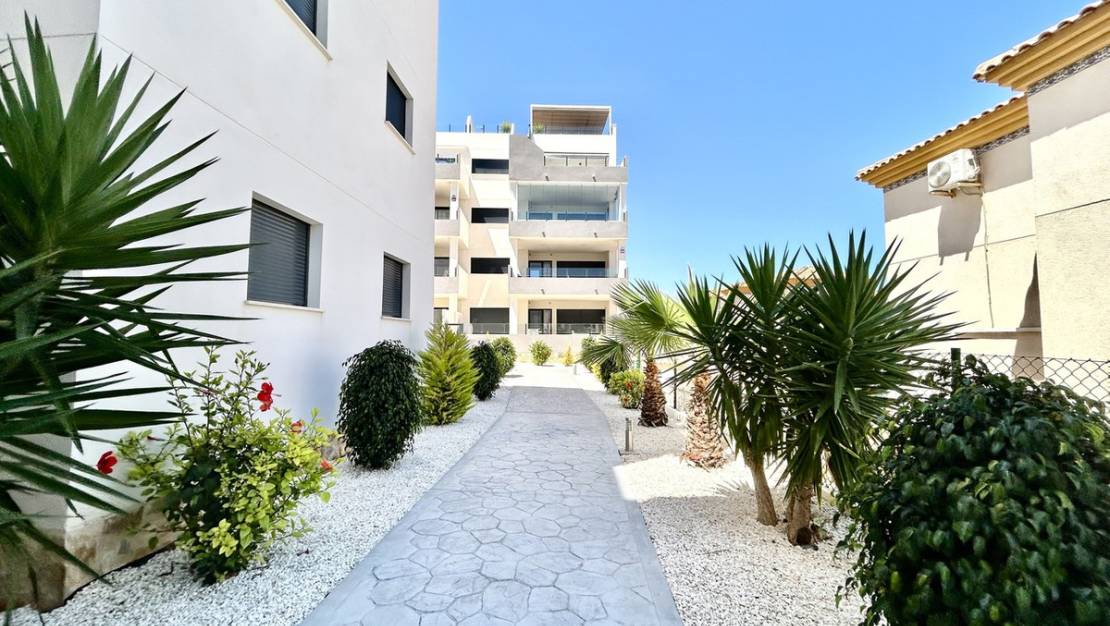 Venta - Apartment - Orihuela - Los Dolses