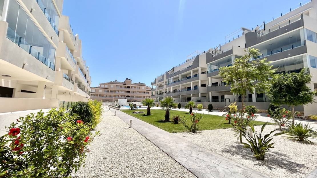 Venta - Apartment - Orihuela - Los Dolses