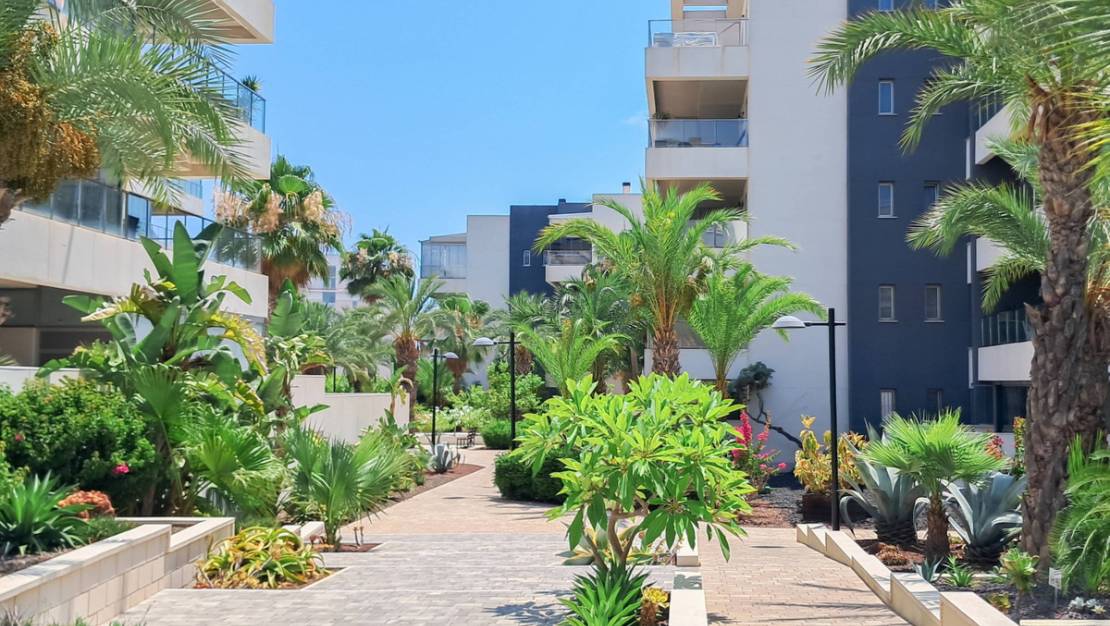 Venta - Apartment - Orihuela - Los Dolses