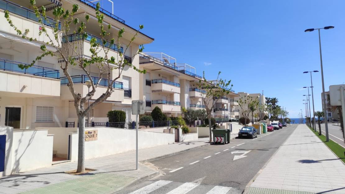Venta - Apartment - Orihuela - Mil Palmeras