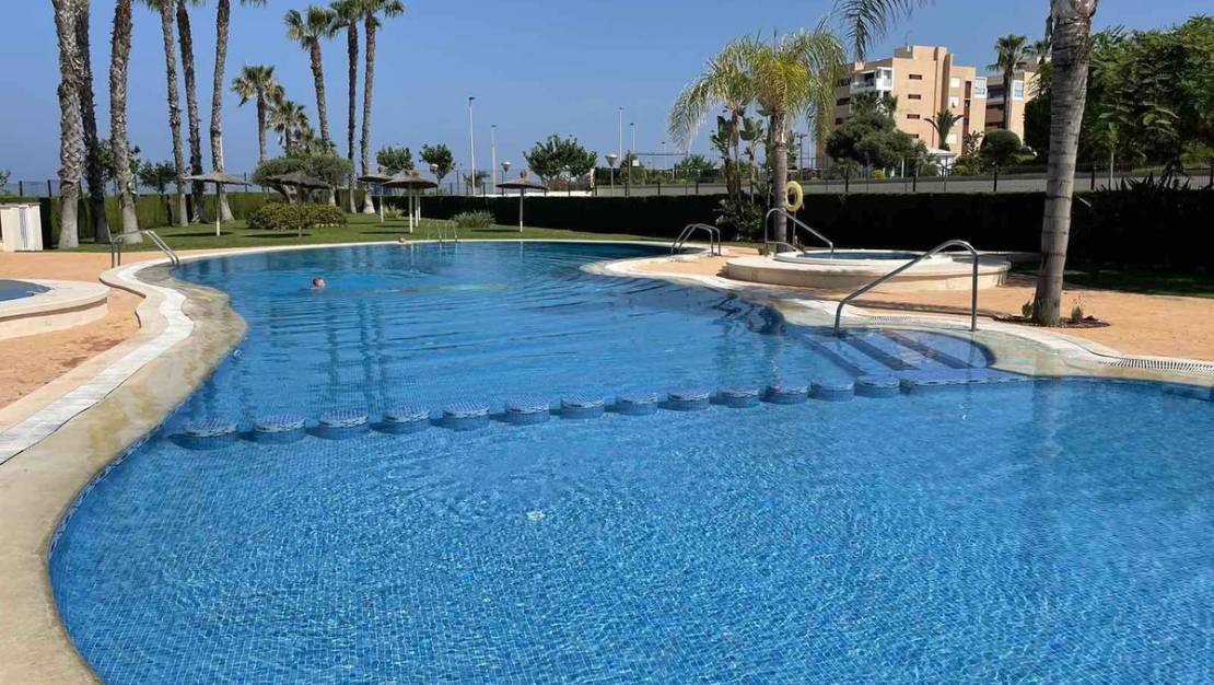 Venta - Apartment - Orihuela - Mil Palmeras